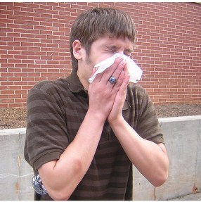 writerspromotingwork