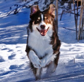 3182535414_84a0f6c3d4_o